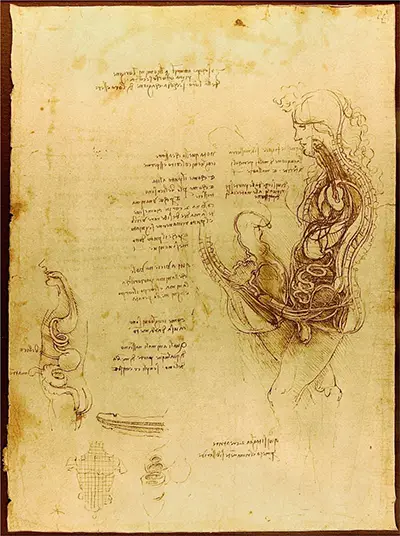Coït d'un homme et d'une femme hémisectés Léonard de Vinci